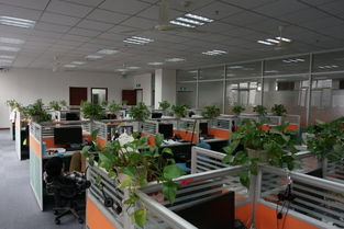 看準(zhǔn)網(wǎng) 技術(shù)驅(qū)動(dòng)下的網(wǎng)絡(luò)科技開發(fā)與運(yùn)營(yíng)