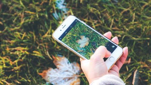 手機看片國產(chǎn)福利永久