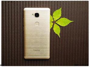 999國產,揭秘神秘國度的奇幻之旅