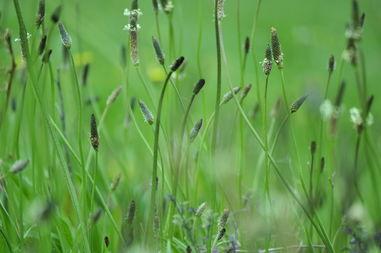 cao國產,歷史、文化與現代發展的交融畫卷